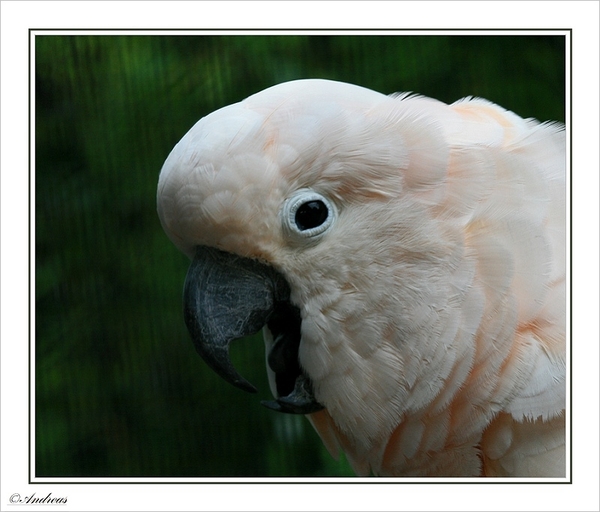 sized_044