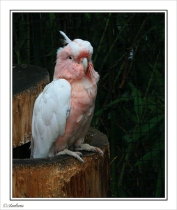 sized_046