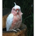 sized_047