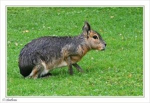 sized_050