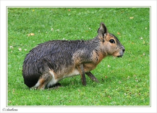 sized_051