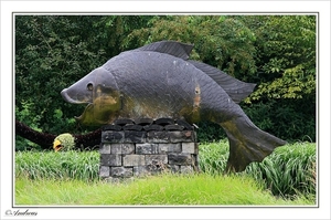 sized_054