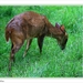 sized_068