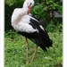 sized_076