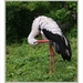 sized_077