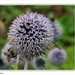 sized_086