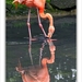 sized_089
