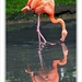sized_090
