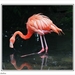 sized_091