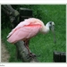 sized_092