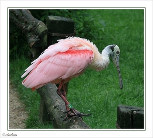 sized_092