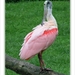 sized_093