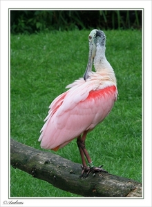 sized_093