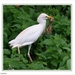 sized_095