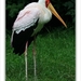 sized_099
