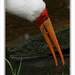 sized_101