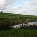 DSC08933