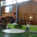 DSC09009