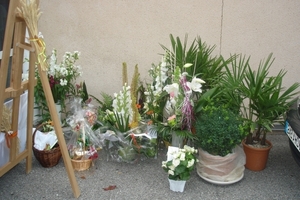 DSC09053