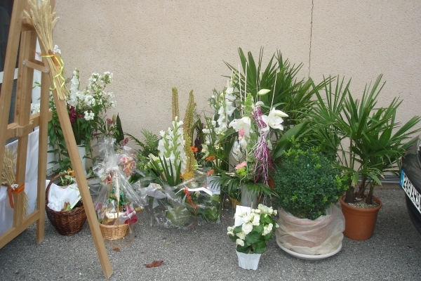 DSC09053
