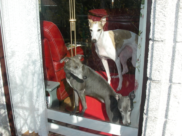 onze liefste hobbys' 006