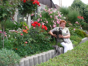 en ik op mijne hondje   fidelle