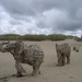 De Panne : Andries Botha's  olifanten