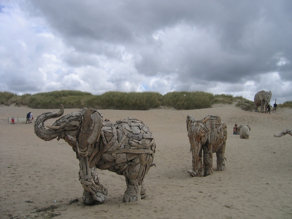 De Panne : Andries Botha's  olifanten