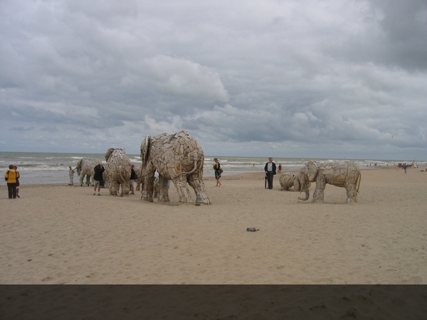 De Panne : Andries Botha (kudde olifanten)