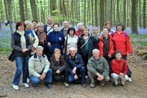 In het Hallerbos