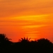 PICT0521