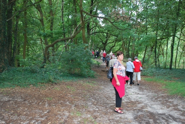 2009-07-25 Vosselaar en Beerse (34)