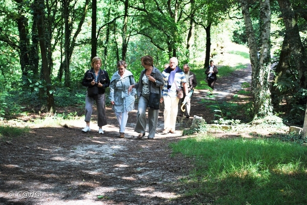 2009-07-25 Vosselaar en Beerse (37)