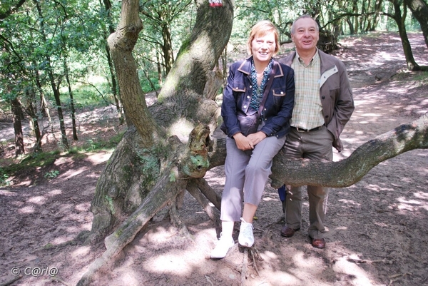 2009-07-25 Vosselaar en Beerse (39)