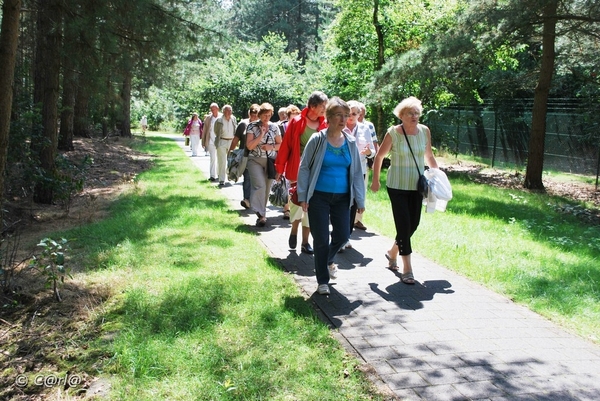 2009-07-25 Vosselaar en Beerse (50)