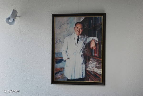 2009-07-25 Vosselaar en Beerse (55)