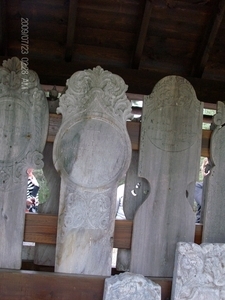 HPIM0870