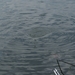 20070604-Watersportbaan vissen 026