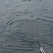 20070604-Watersportbaan vissen 029