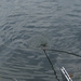 20070604-Watersportbaan vissen 032