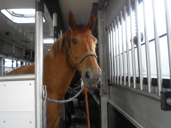 Stond bij Joris in de truck !