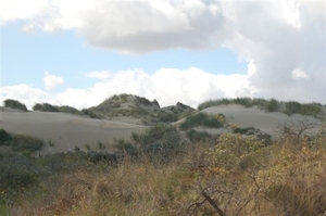 Natuurgebied in De Panne