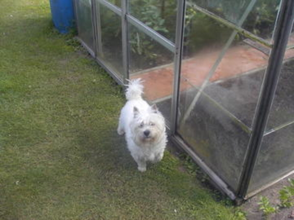 9DD82F00-F2FA-6FB2-F2F3596B3DA79546