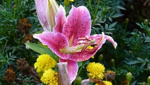 P1020133