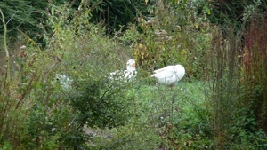 P1020192