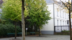 P1020248