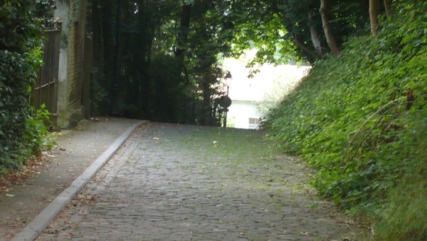 P1000207
