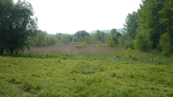 P1000140