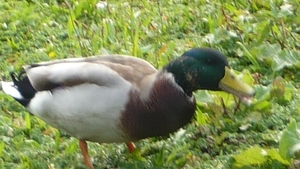 P1000553