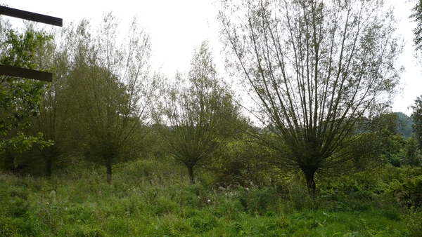 P1000725